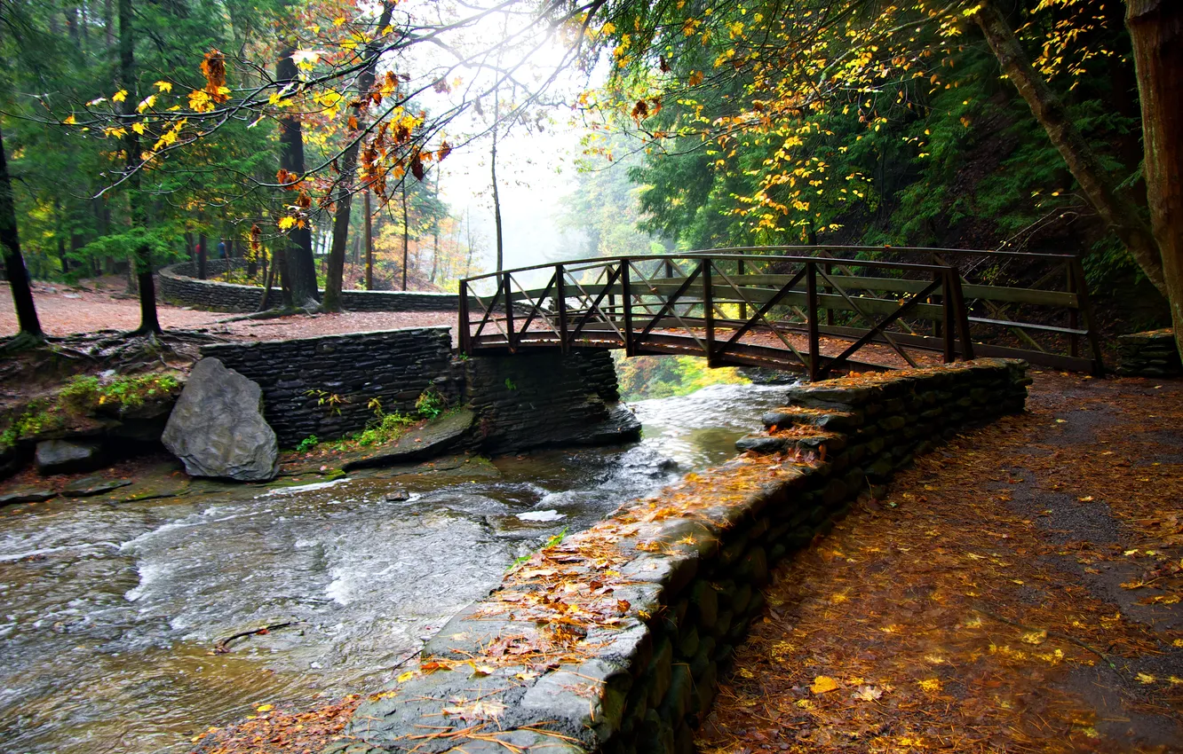 Photo wallpaper autumn, trees, bridge, Park, stream