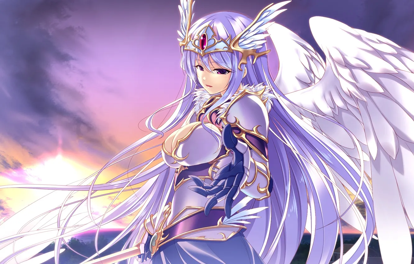 Photo wallpaper the sky, look, girl, clouds, sunset, wings, armor, game cg