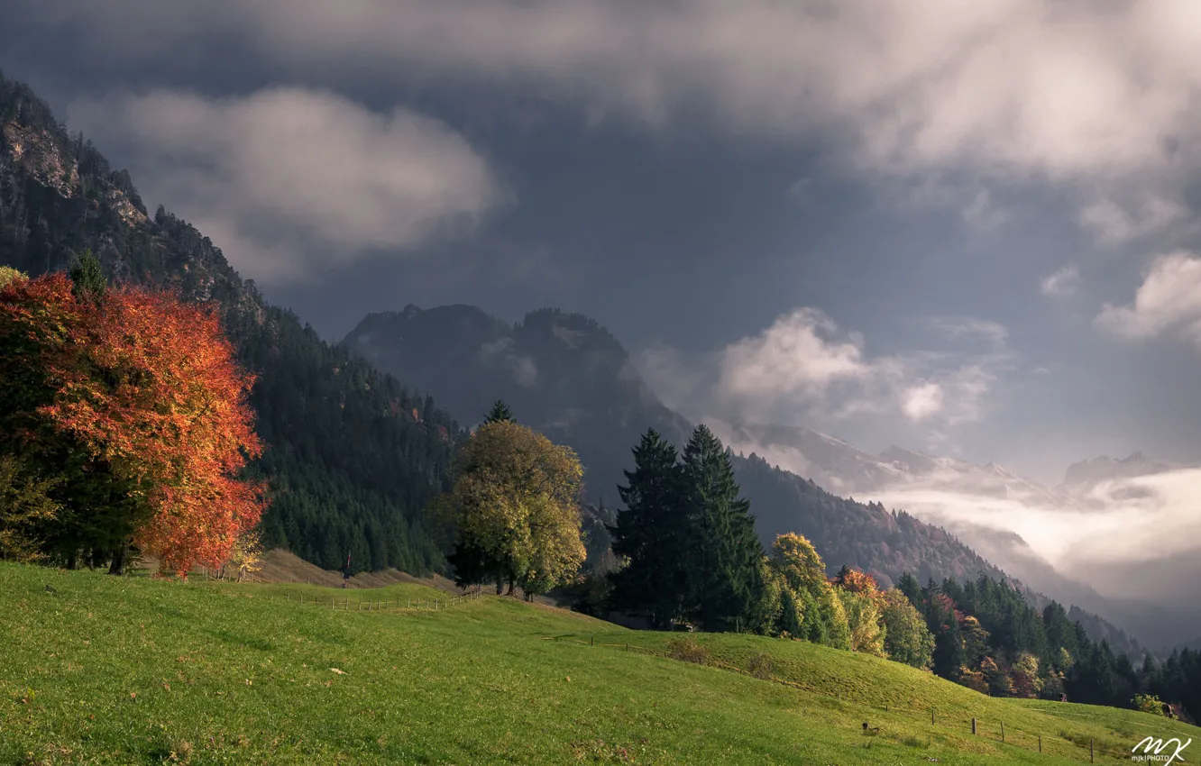 Photo wallpaper autumn, the sky, trees, mountains, nature, hill