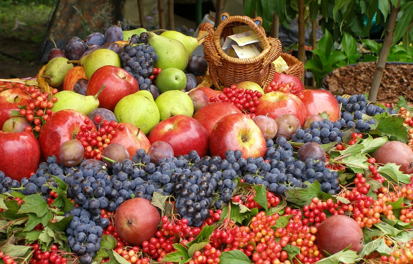 Photo wallpaper berries, apples, harvest, grapes, fruit, plum, pear, Kalina