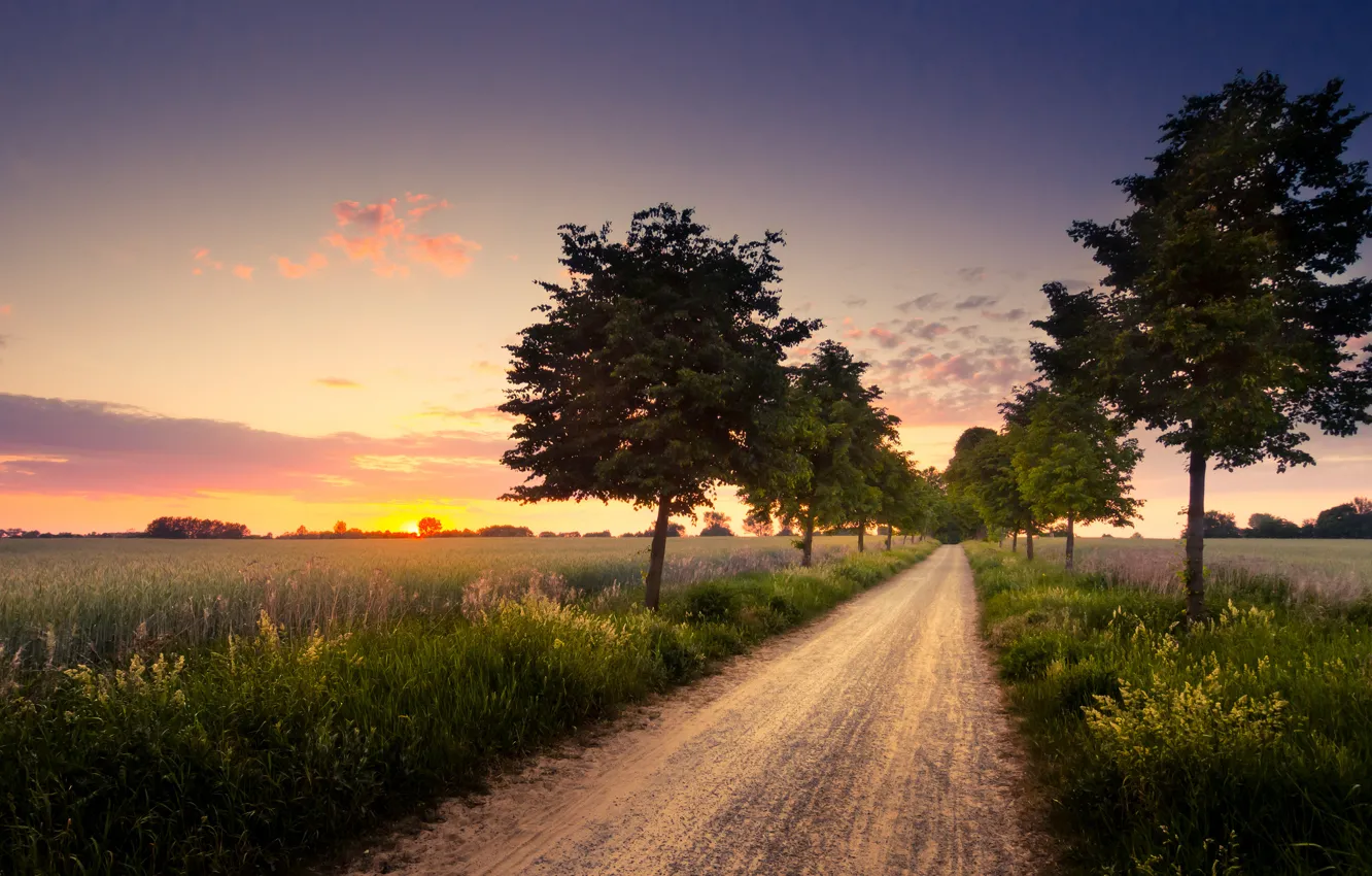 Photo wallpaper road, trees, sunset, nature, field, the evening