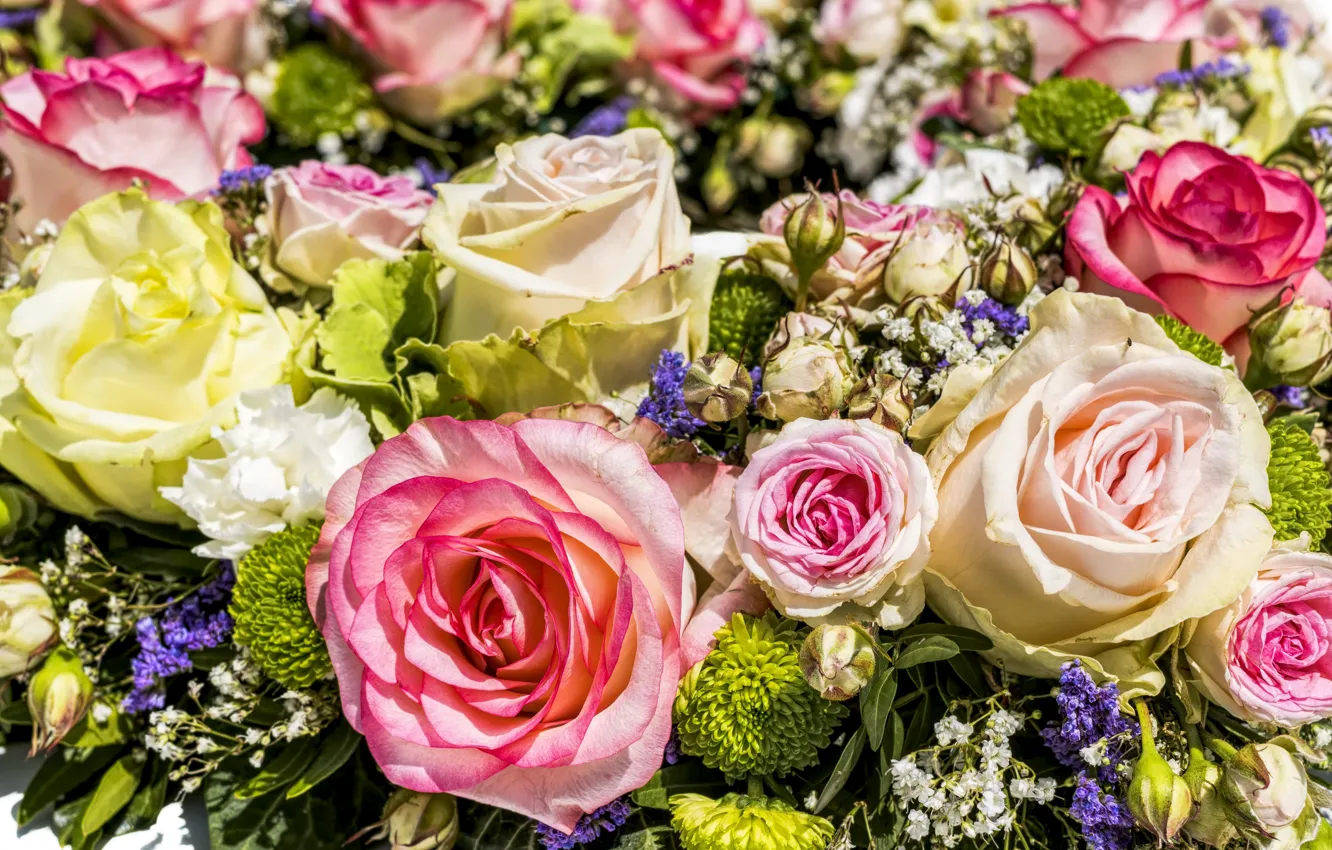Photo wallpaper flowers, roses, bouquet, pink, white, buds, colorful, different