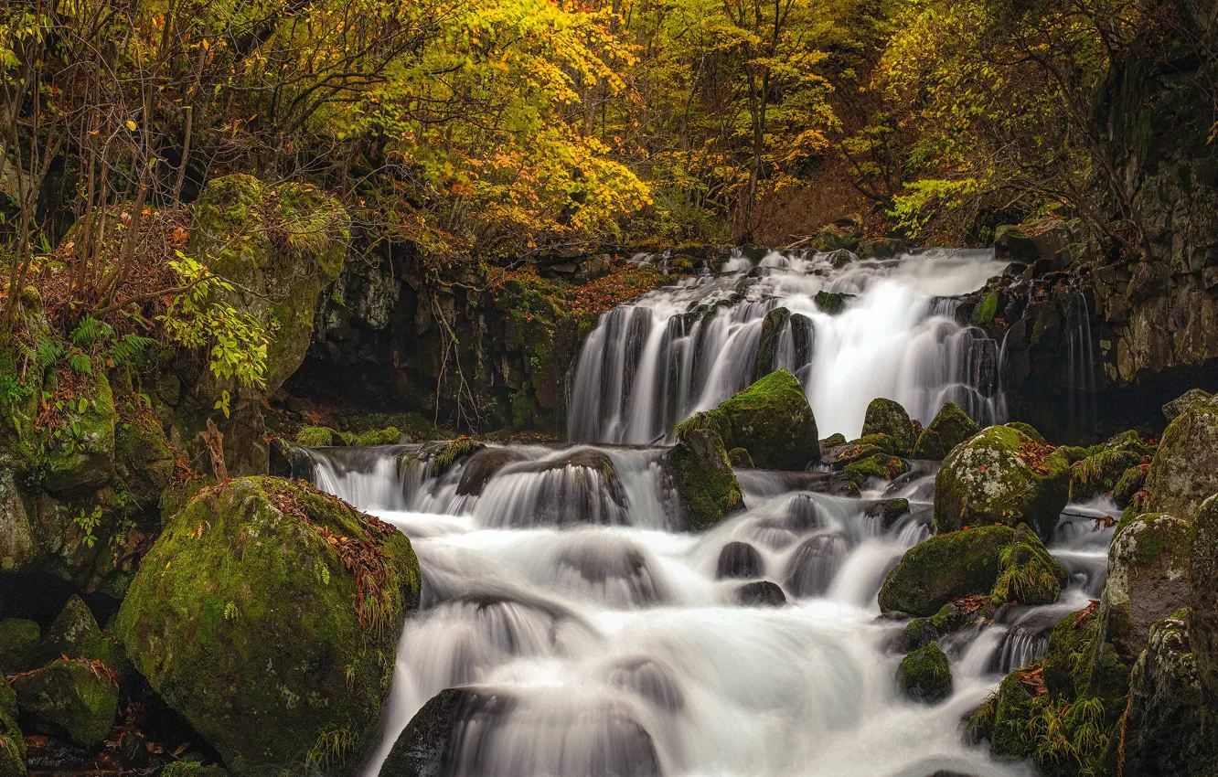 Photo wallpaper autumn, stones, foliage, waterfall, stream, boulders