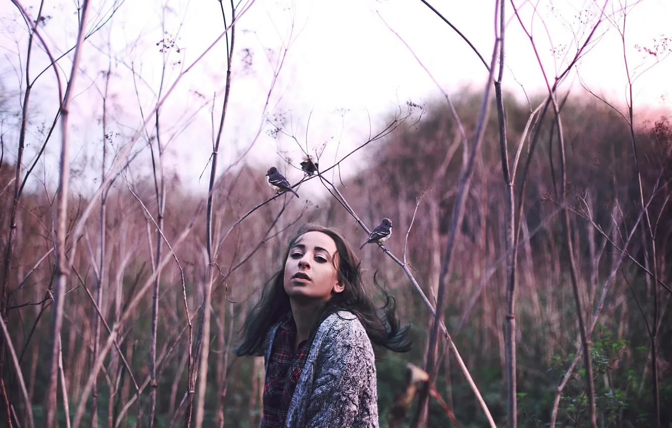 Photo wallpaper girl, nature, bird, Mockingbirds