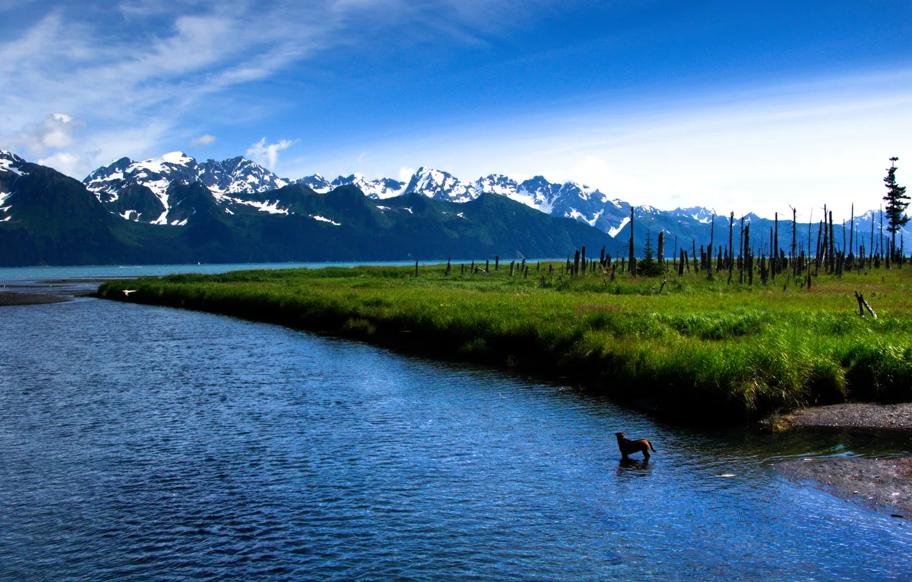 Photo wallpaper grass, mountains, lake, Salmon Run