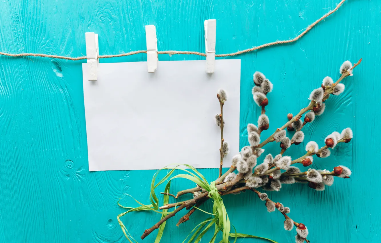 Photo wallpaper sprig, bouquet, spring, tape, buds, Verba, spring, bouquet