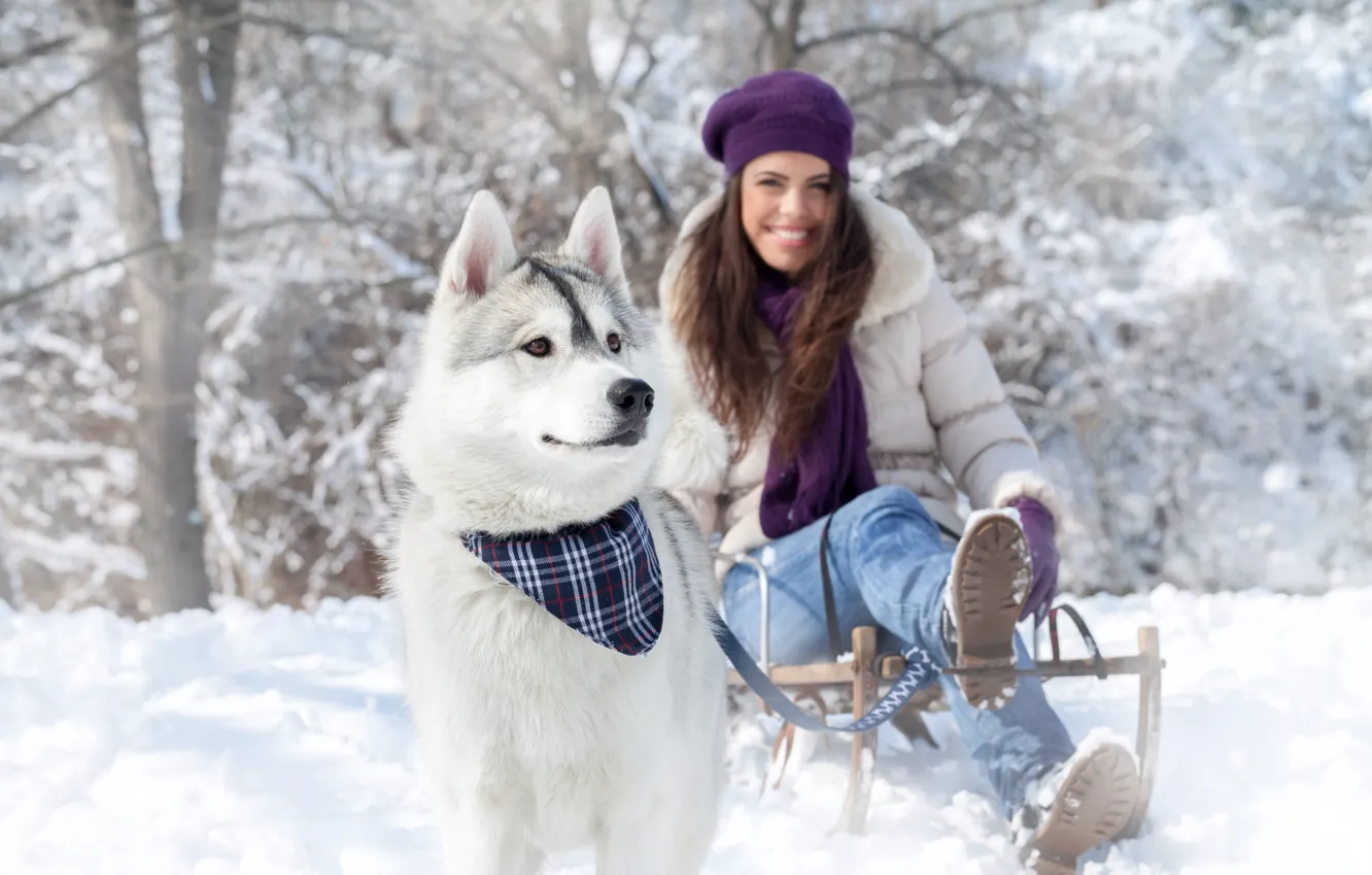 Photo wallpaper winter, girl, snow, nature, dog