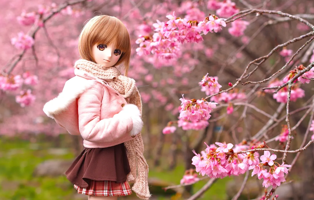 Photo wallpaper trees, toy, spring, doll