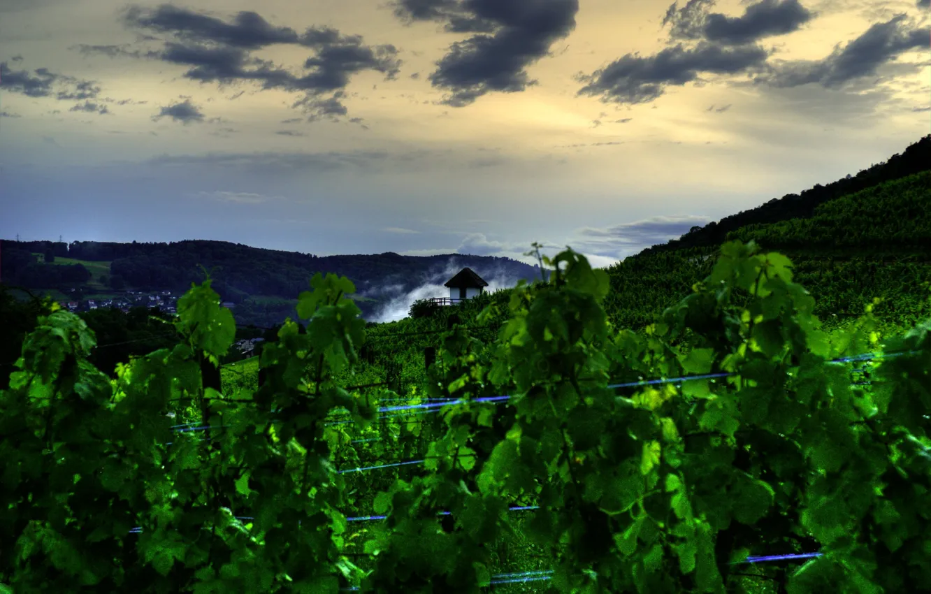 Photo wallpaper the sky, leaves, clouds, mountains, branches, nature, the evening, Switzerland
