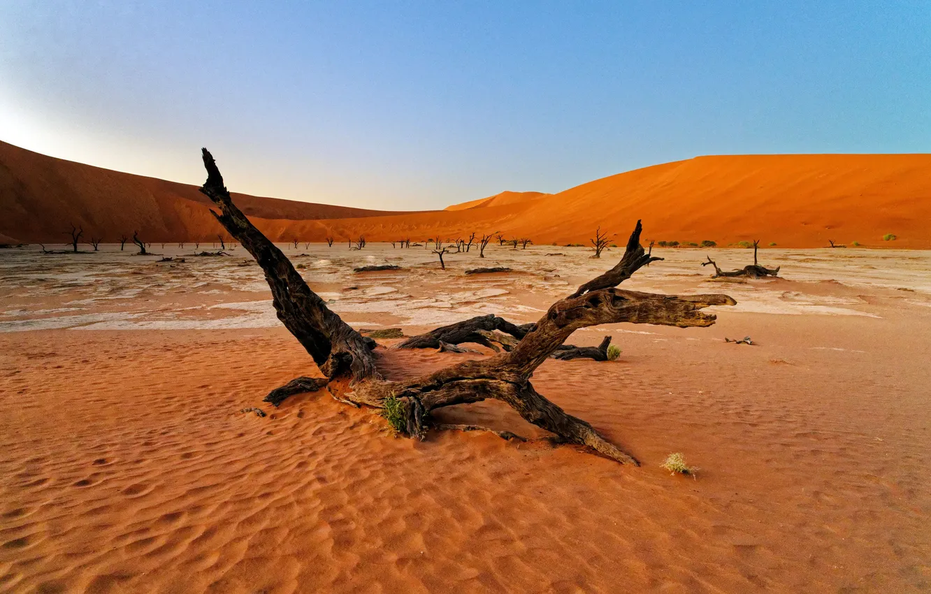 Photo wallpaper sand, landscape, desert, horizon, desert, Namibia, landscape, Namibia