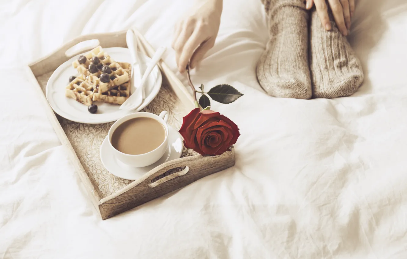 Photo wallpaper girl, coffee, roses, Breakfast, morning