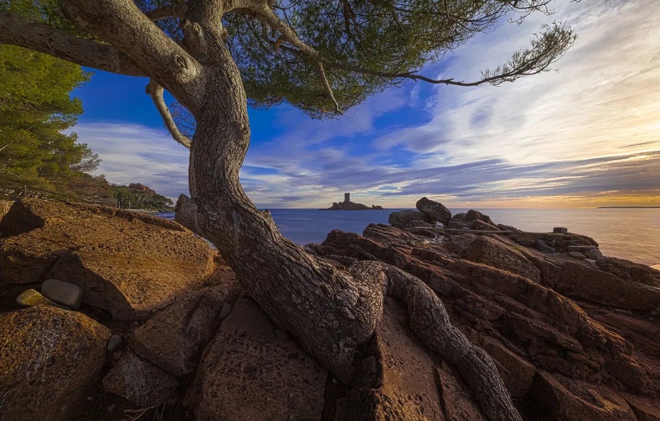 Photo wallpaper sea, beach, trees, stones, island, morning, Bay