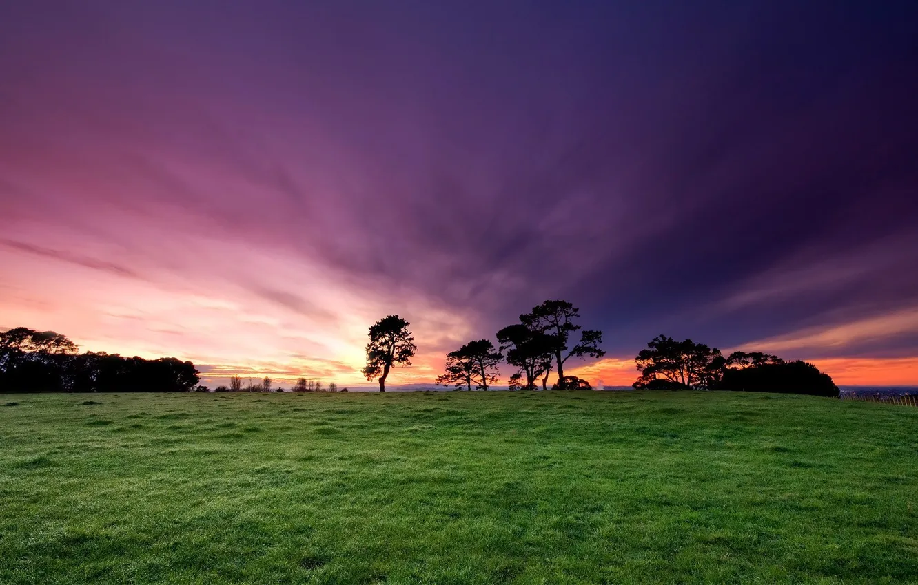 Photo wallpaper the sky, grass, the sun, trees, sunset, nature, photo, color