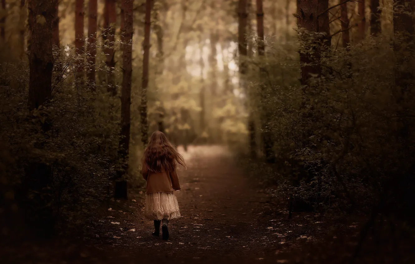 Photo wallpaper road, forest, girl