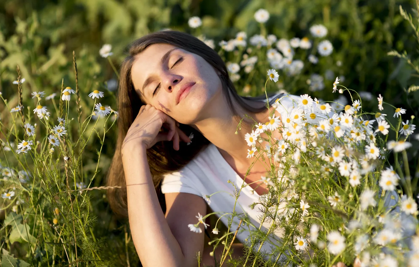 Photo wallpaper field, summer, girl, the sun, light, flowers, pose, chamomile