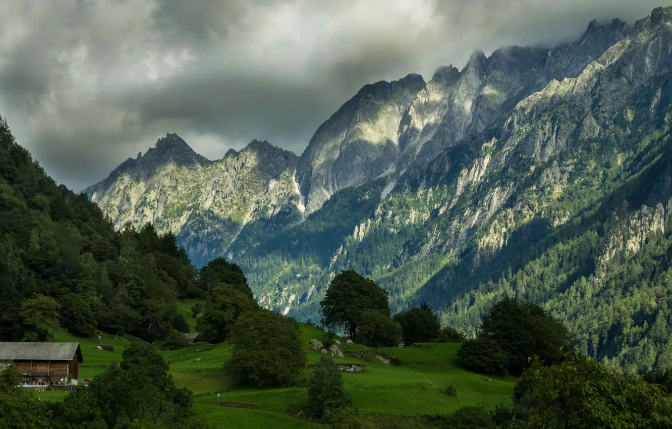 Photo wallpaper field, forest, clouds, light, trees, mountains, clouds, rocks