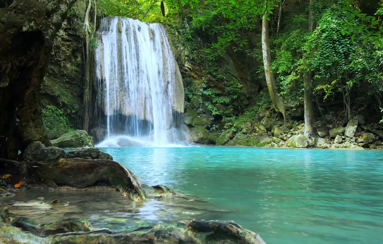 Photo wallpaper forest, nature, river, waterfall