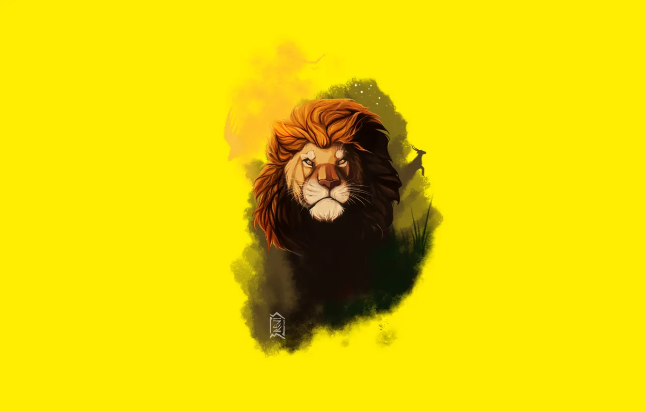 Photo wallpaper face, Leo, mane, king