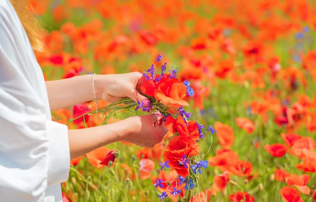 Photo wallpaper summer, girl, flowers, Maki, hands, poppy field
