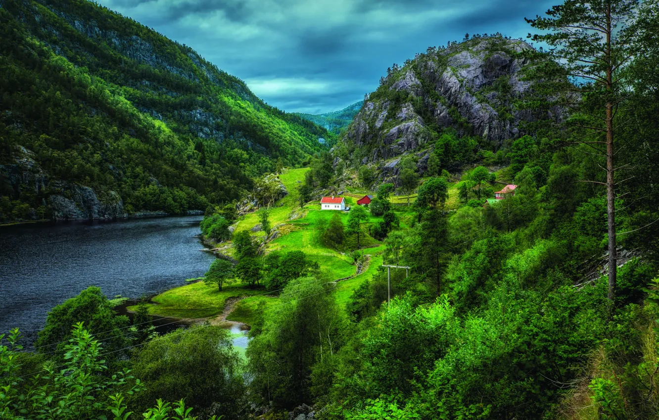 Photo wallpaper trees, mountains, Norway, houses, the fjord