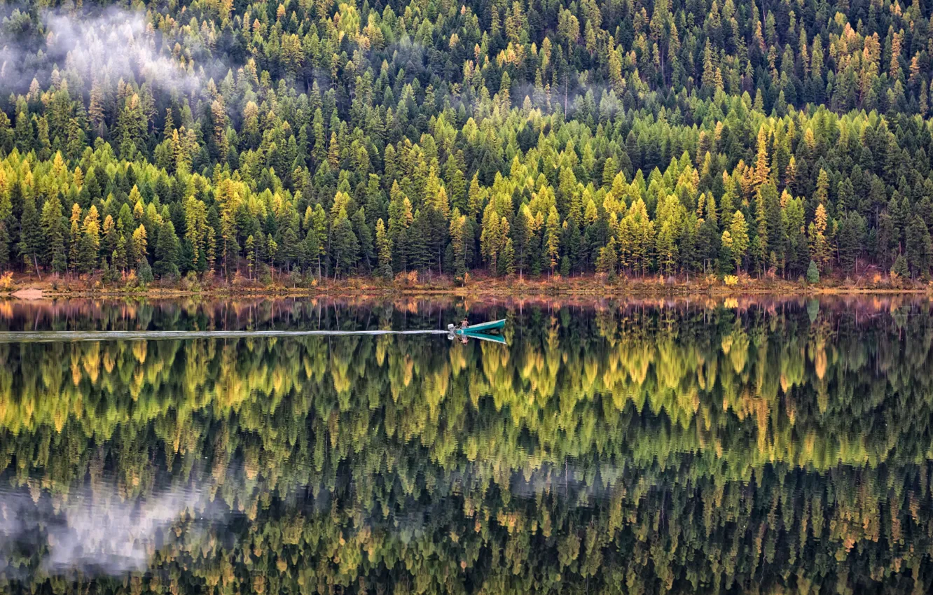 Photo wallpaper forest, water, trees, landscape, nature, reflection, boat
