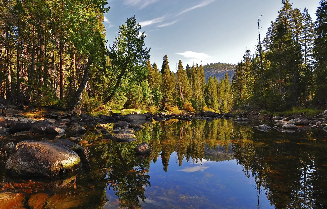 Photo wallpaper forest, nature, lake, stones