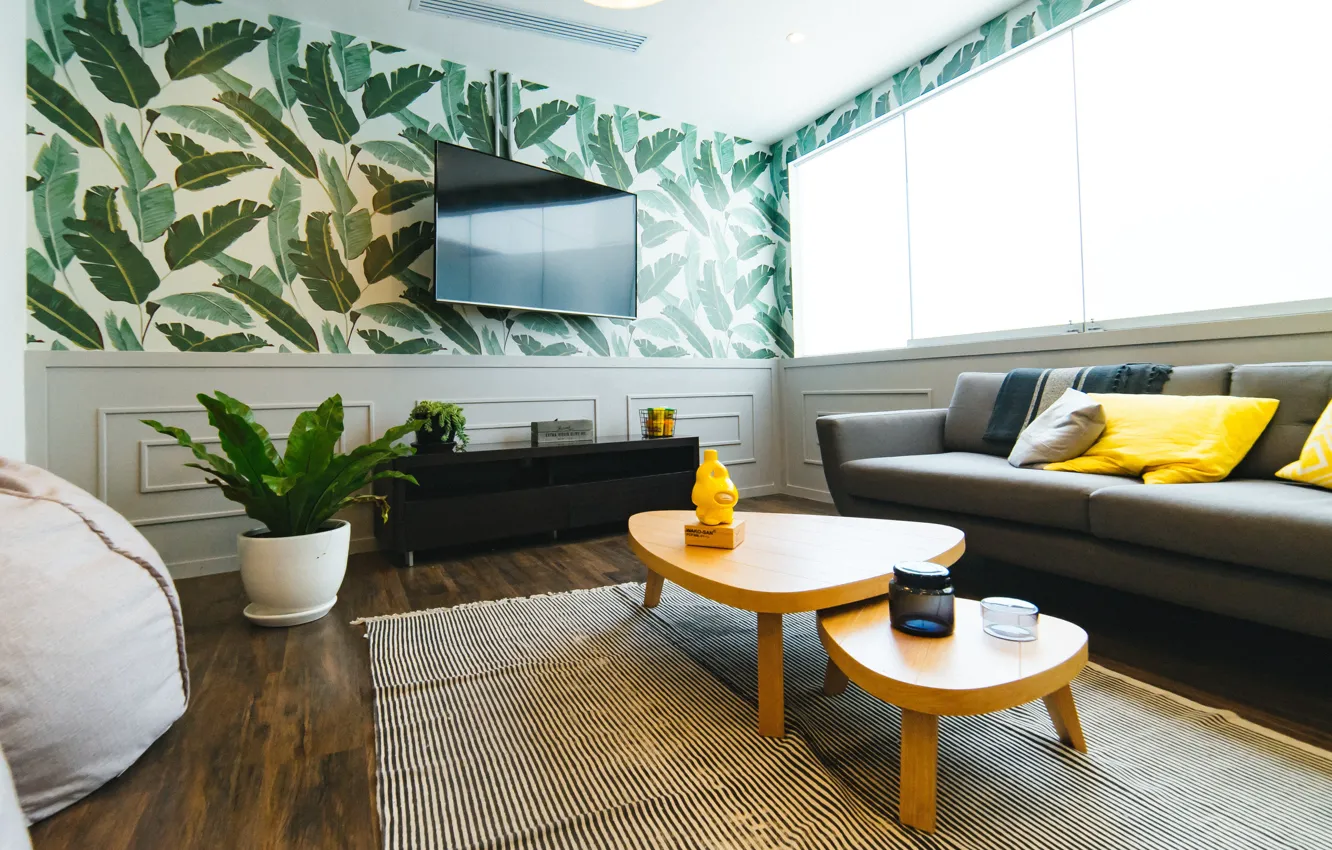 Photo wallpaper table, sofa, Wallpaper, carpet, pillow, TV, window, living room