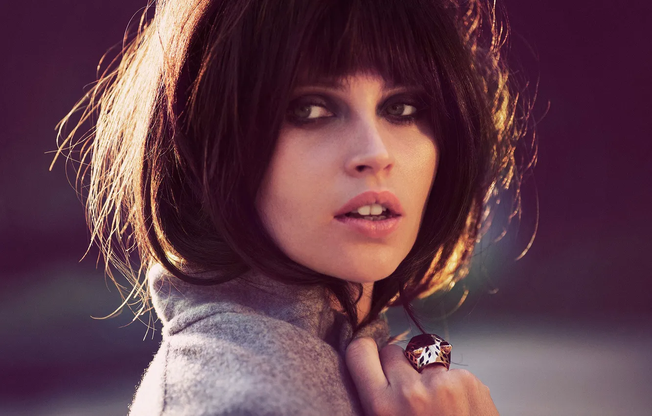 Photo wallpaper photoshoot, Felicity Jones, Violet Grey