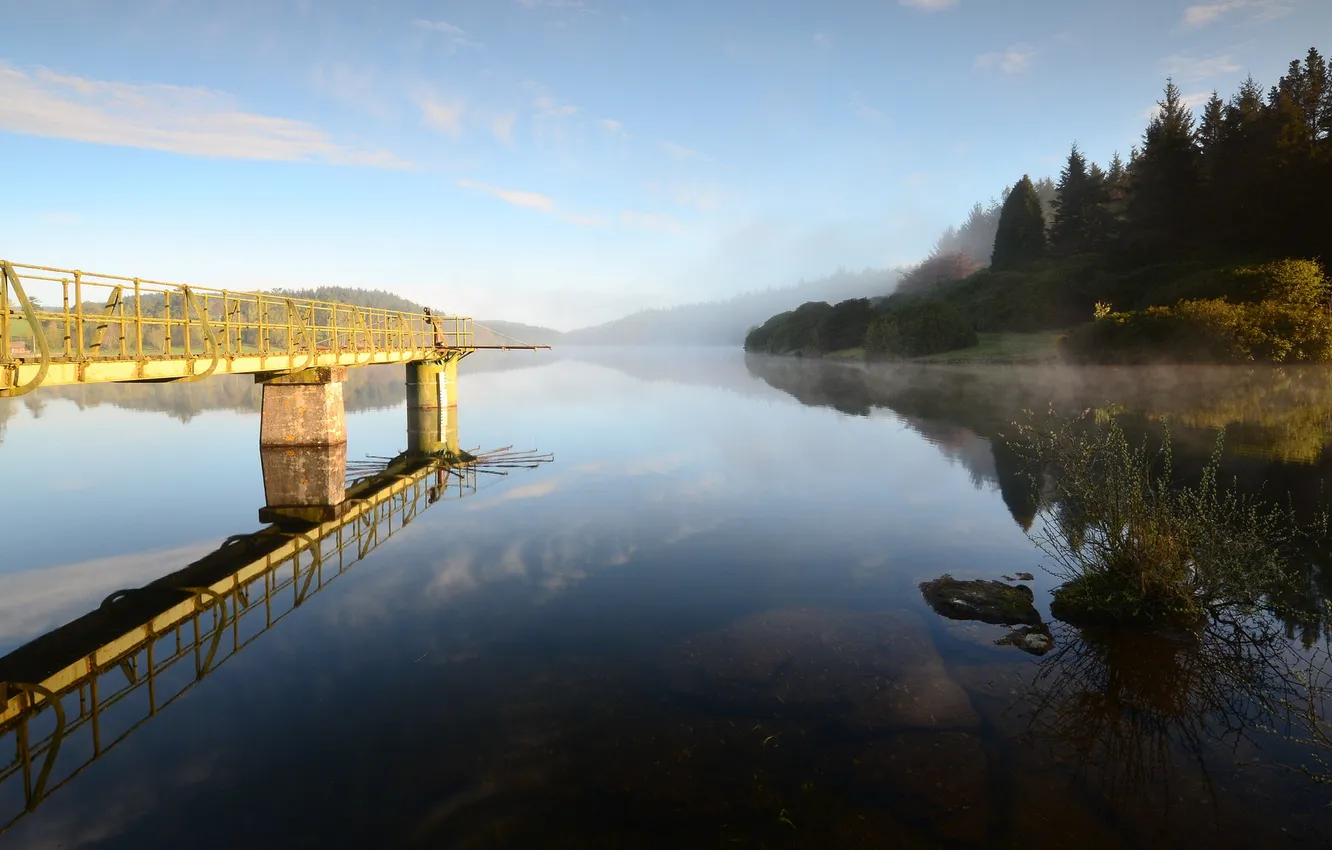 Photo wallpaper forest, fog, lake, pierce