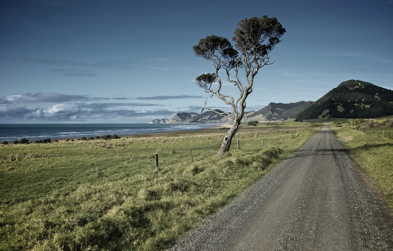 Photo wallpaper road, sea, landscape, tree