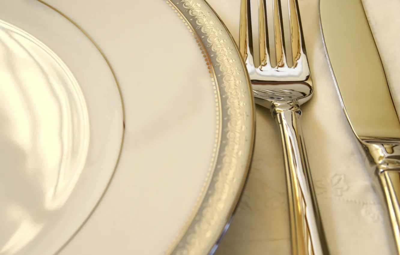 Photo wallpaper dress, plate, knife, plug, Cutlery