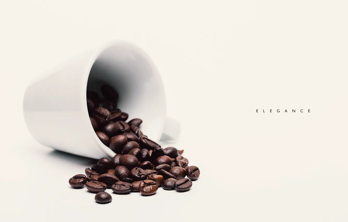 Photo wallpaper macro, coffee, grain, photographer, photography, photographer, macro, Björn Wunderlich