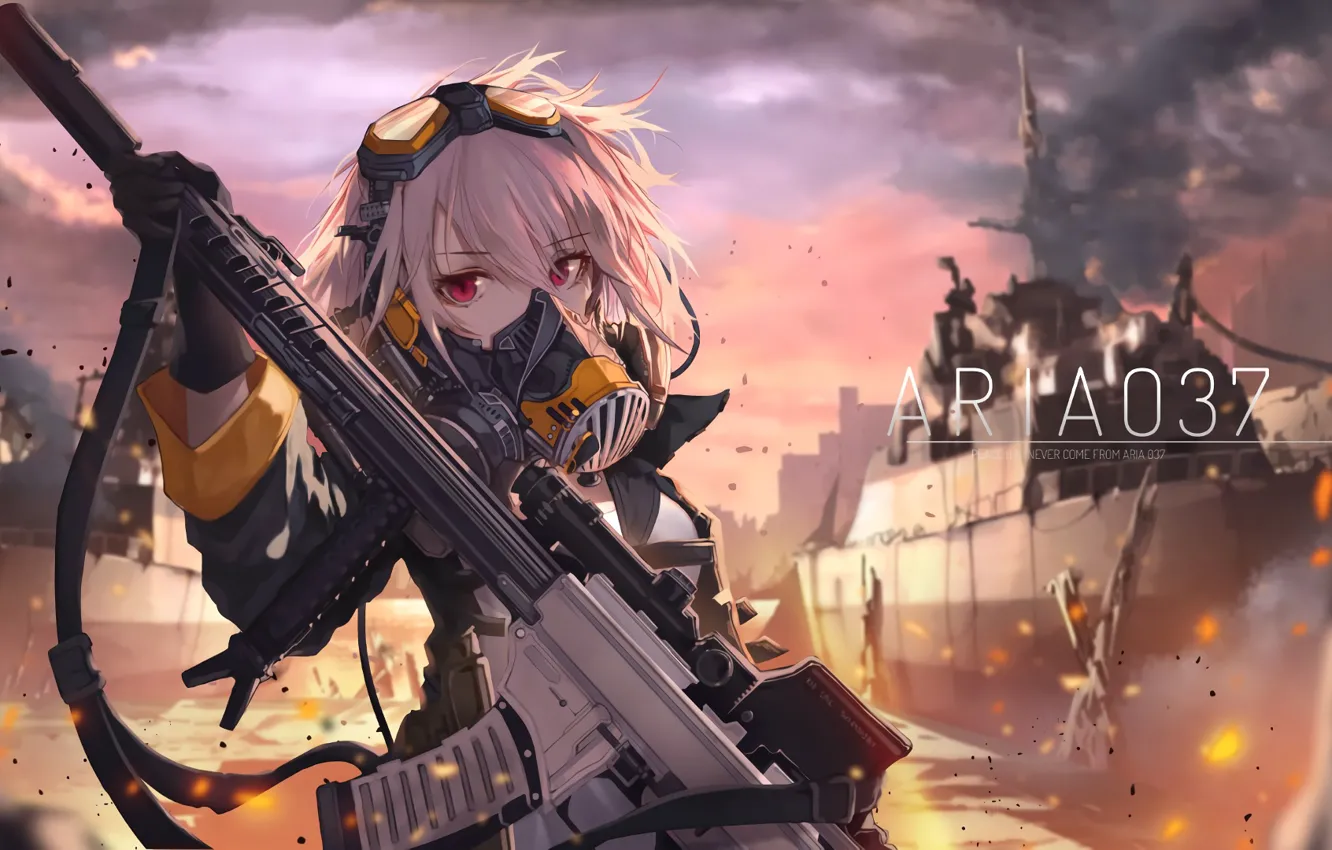 Photo wallpaper girl, weapons, art