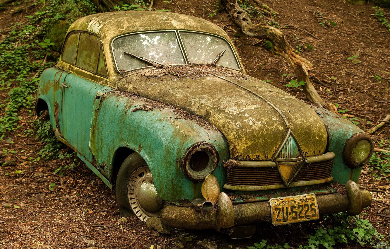 Photo wallpaper forest, abandoned, rust, old, car