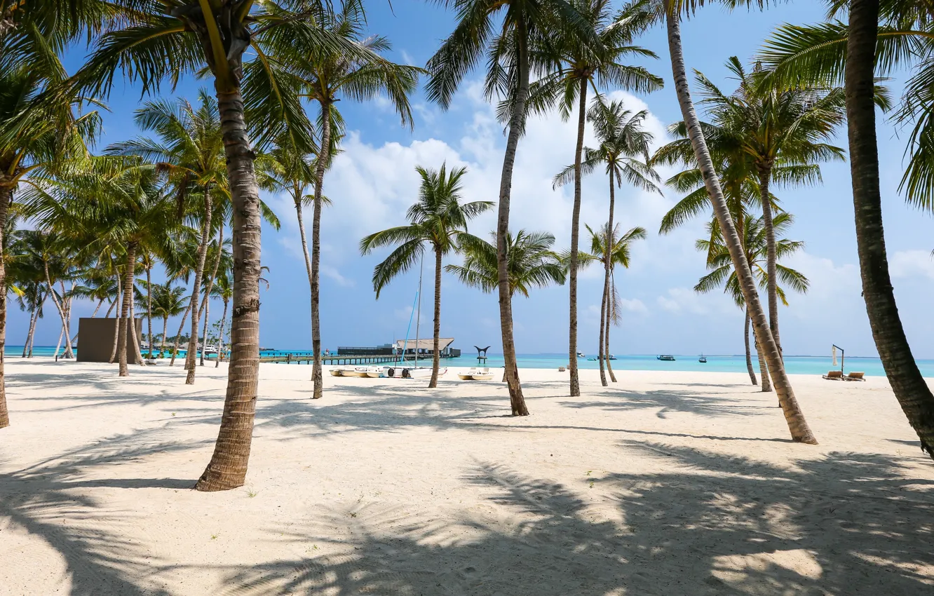 Photo wallpaper beach, trees, nature, sand, palm trees