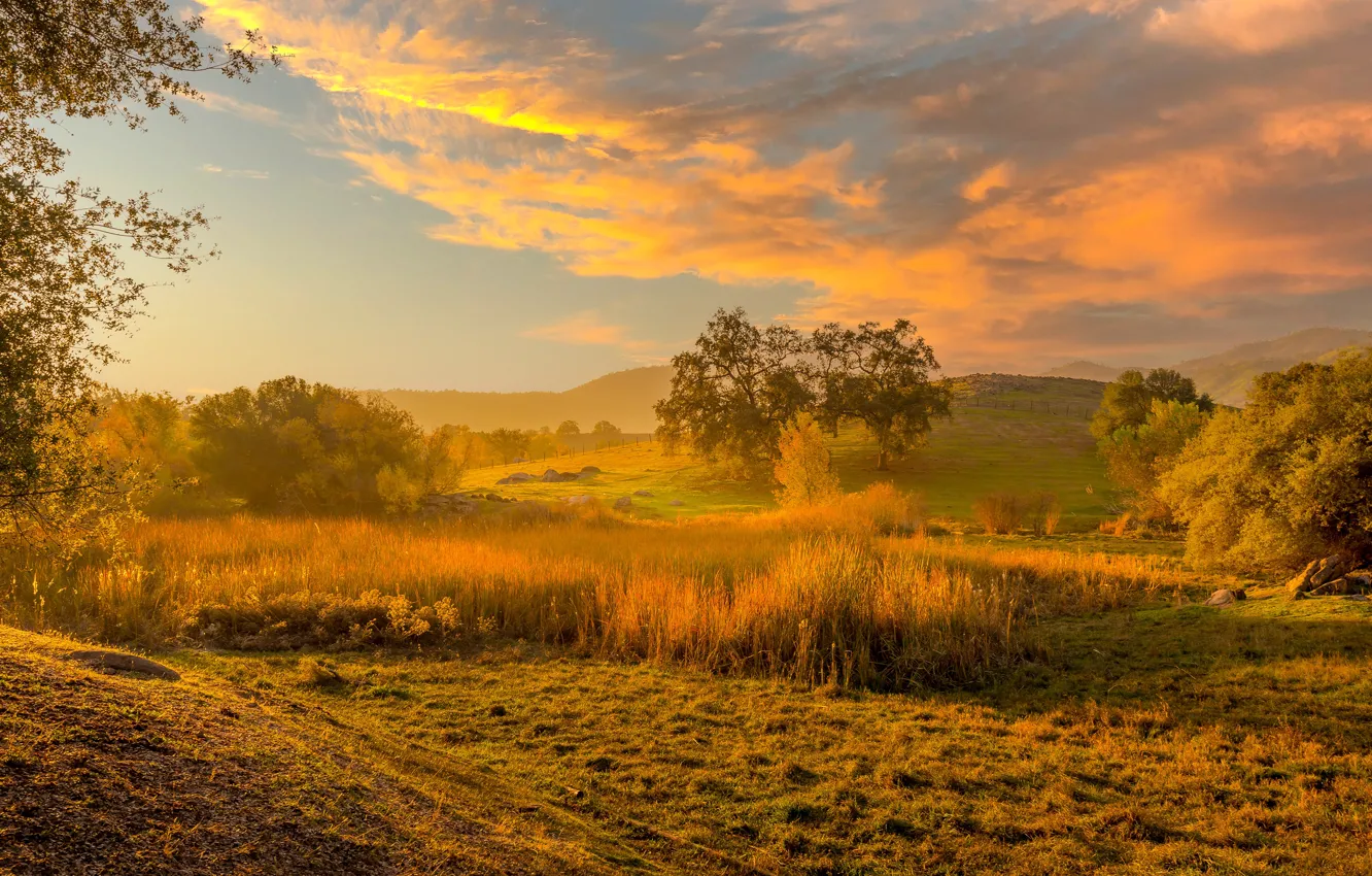 Photo wallpaper field, autumn, clouds, trees, hills