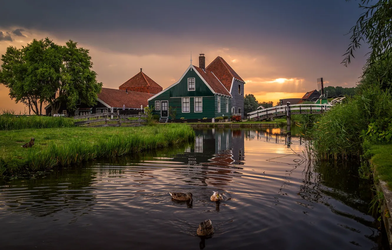 Photo wallpaper summer, the sky, clouds, light, trees, landscape, sunset, flowers