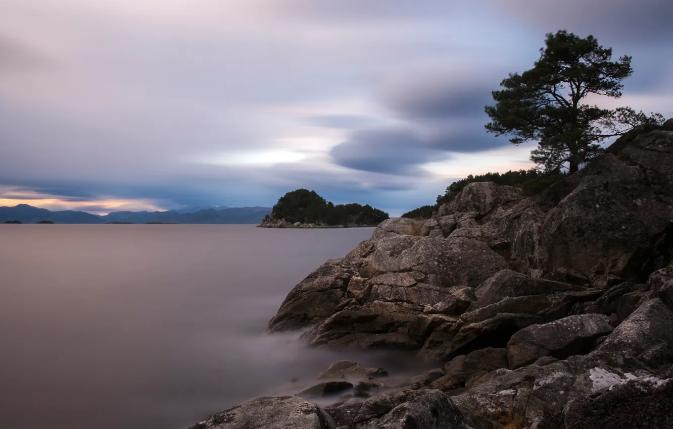 Photo wallpaper sea, the sky, clouds, stones, tree, overcast, rocks, branch