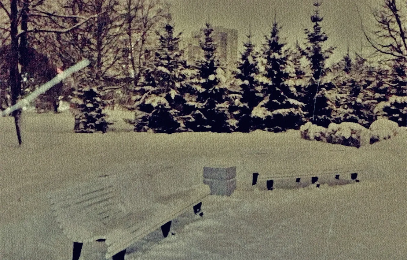 Photo wallpaper landscape, night, winter night, December 2023, winter2023