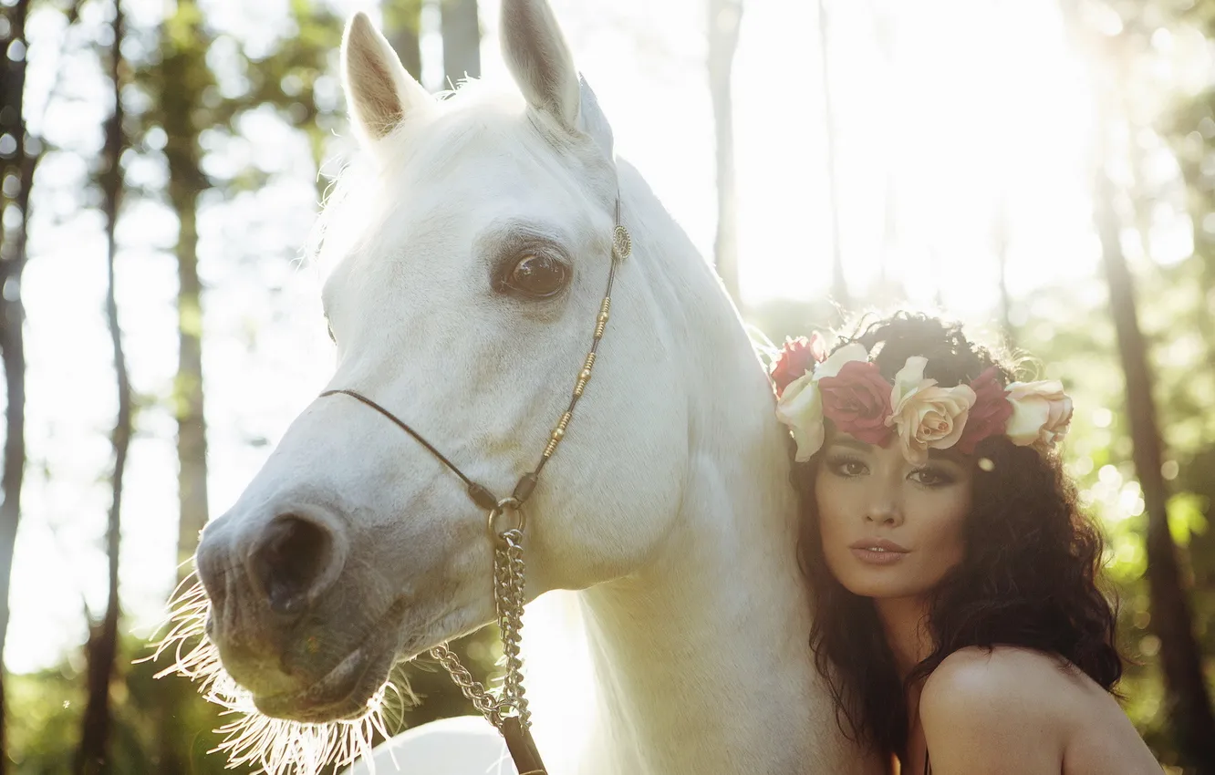Photo wallpaper girl, light, horse
