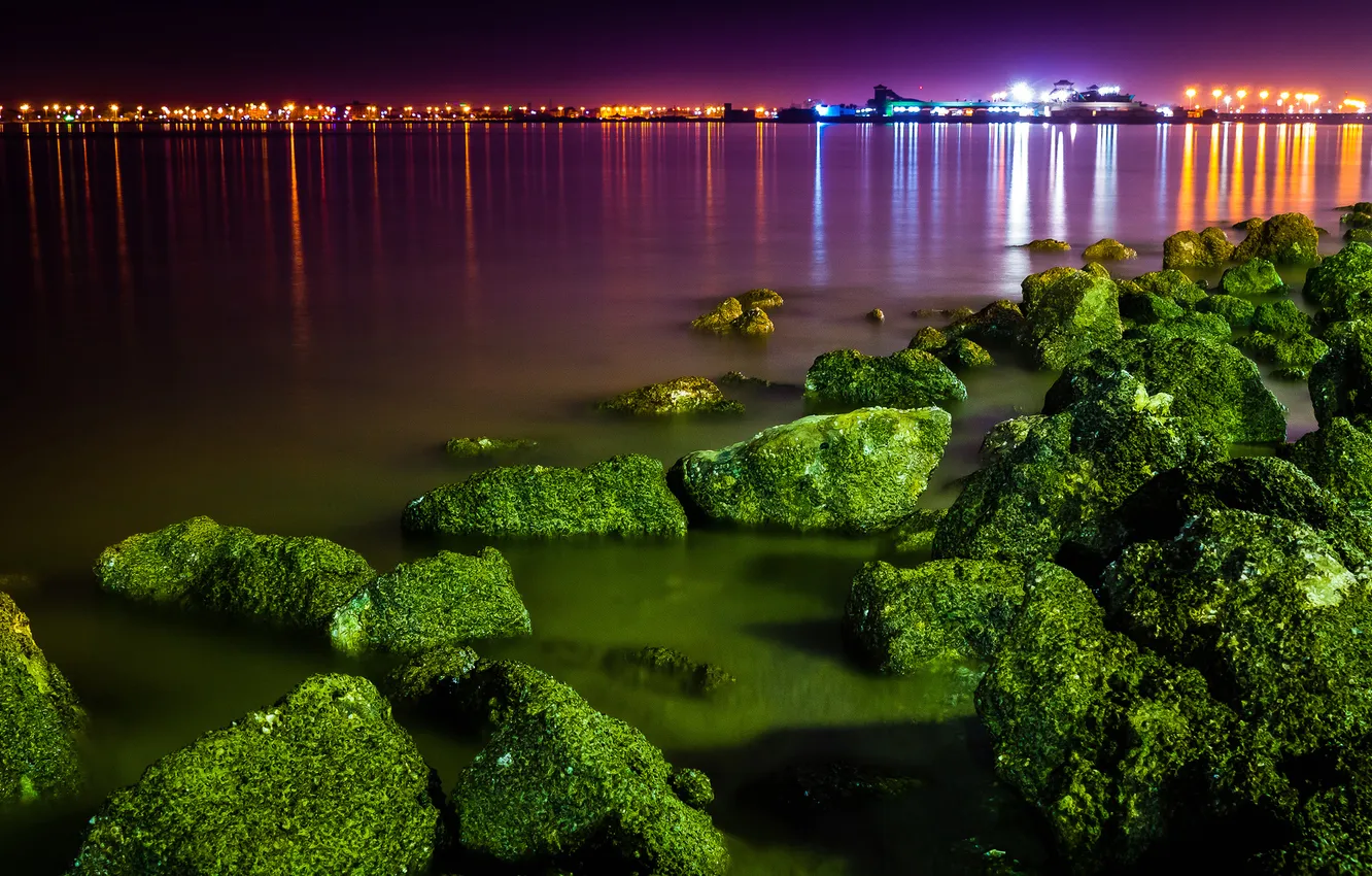 Photo wallpaper algae, night, the city, lights, stones, port, Bay