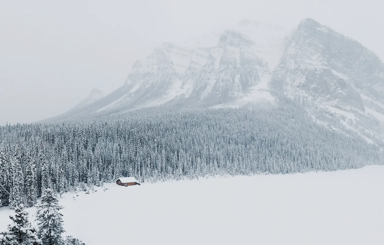 Photo wallpaper winter, forest, snow, mountains, Alberta, Lake Louise, Canada