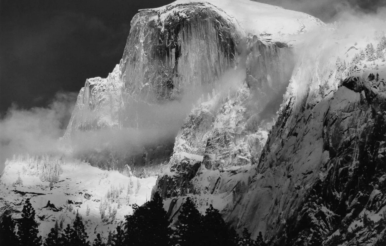 Photo wallpaper winter, snow, trees, mountains, nature, fog, rocks, black and white