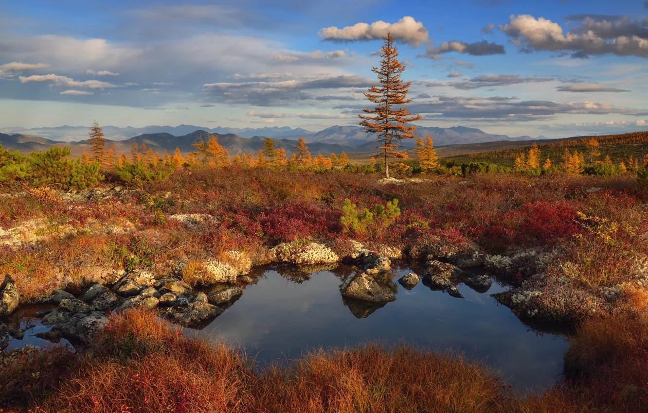 Photo wallpaper autumn, landscape, mountains, nature, stones, vegetation, pond, Kolyma