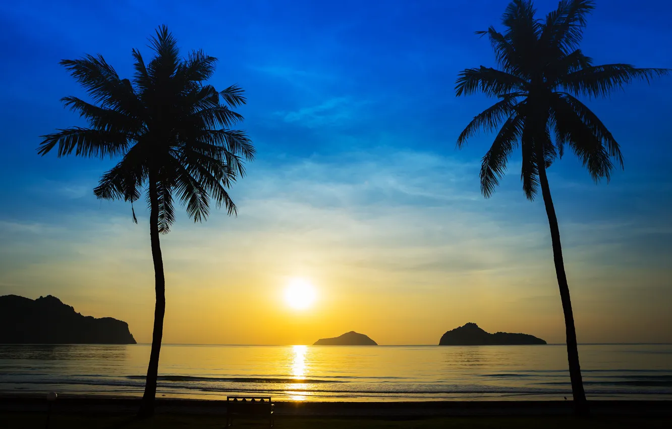 Photo wallpaper sea, beach, summer, sunset, palm trees, shore, silhouette, summer