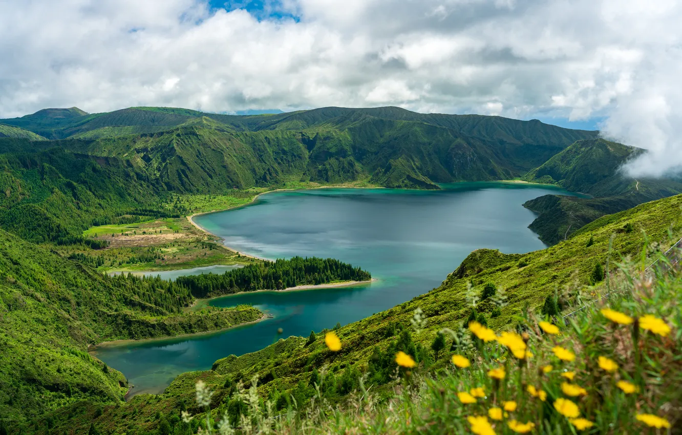 Photo wallpaper sea, greens, forest, summer, clouds, flowers, mountains, lake