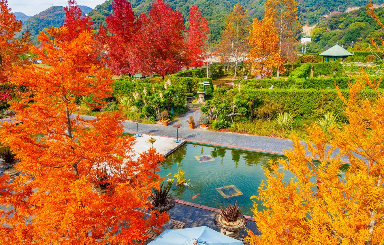 Photo wallpaper autumn, leaves, trees, Park, paint, Japan, the crimson, Tamano