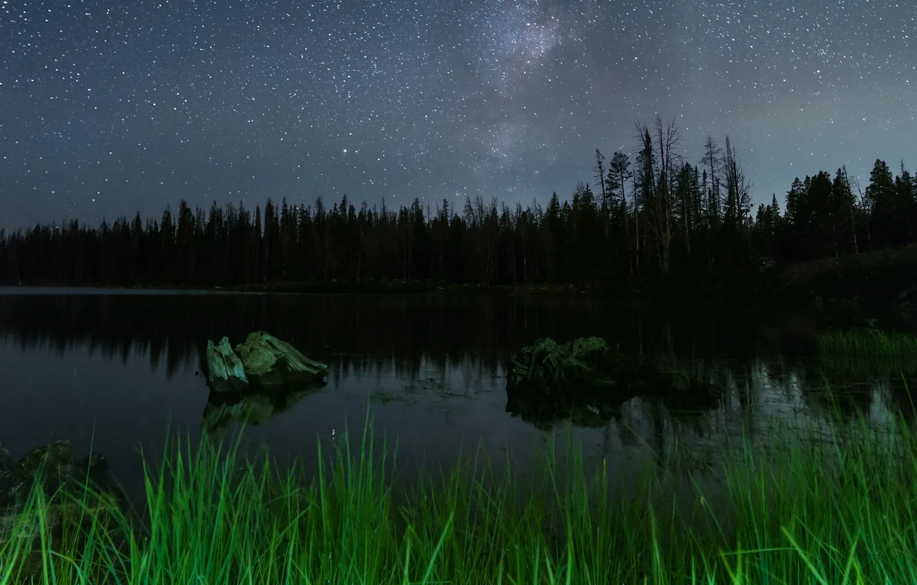 Photo wallpaper forest, the sky, grass, trees, landscape, night, nature, lake