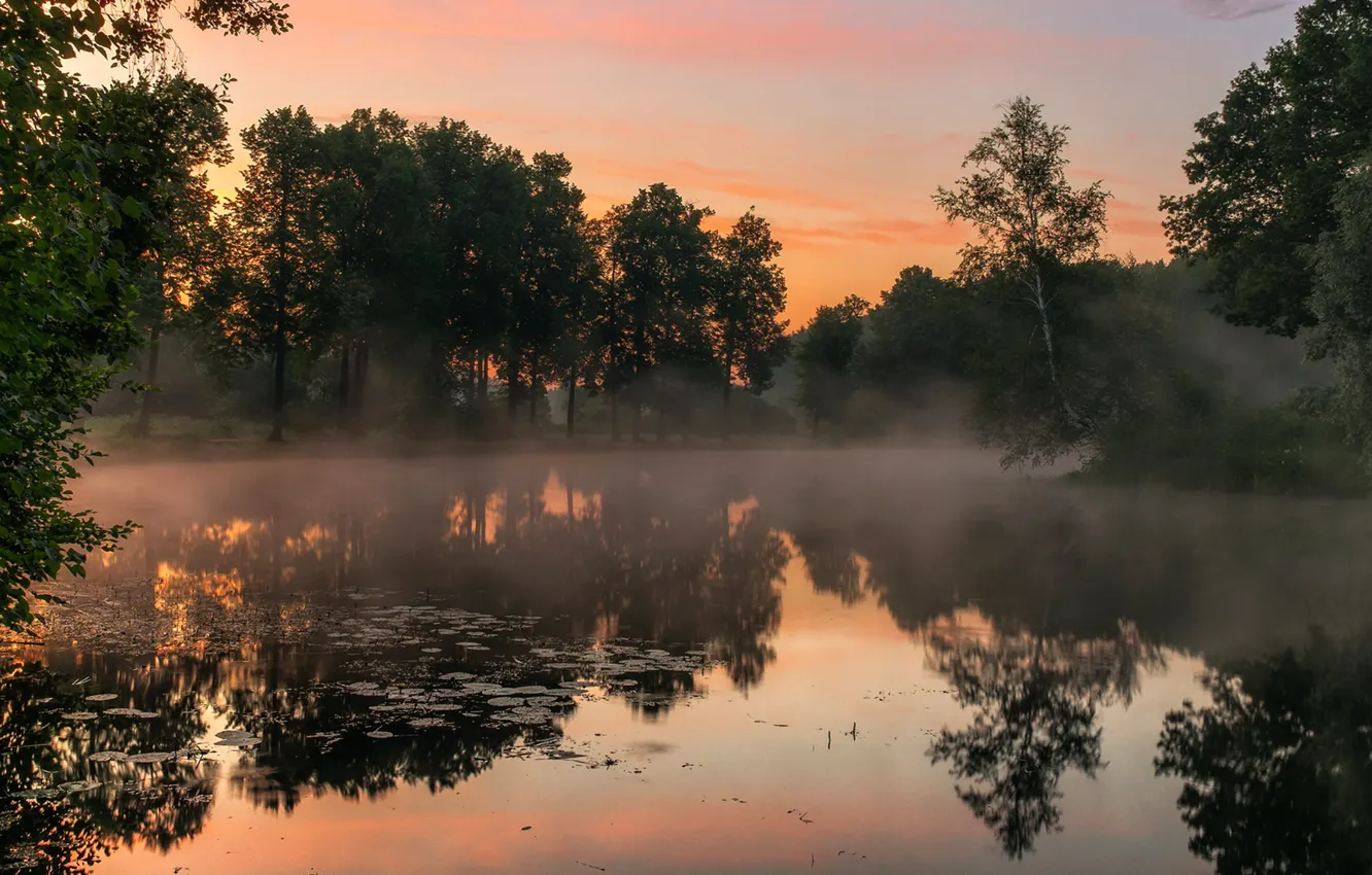Photo wallpaper fog, pond, dawn, morning