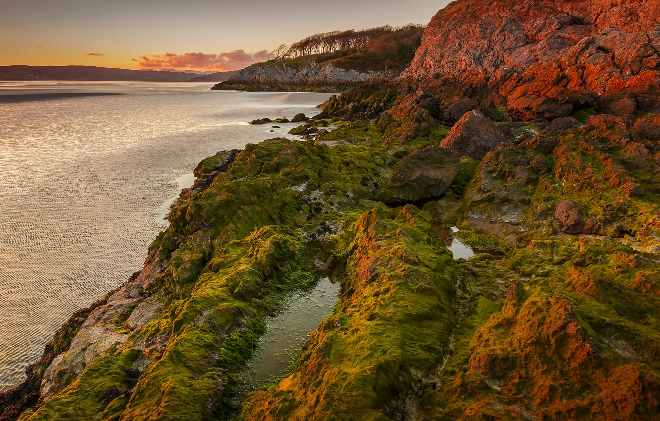 Photo wallpaper algae, sunset, mountains, lake, stones, rocks, the evening